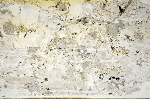 Plane Polarized, S86019