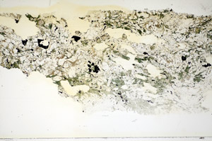 Plane Polarized, S86024
