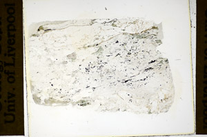 Plane Polarized, S86025