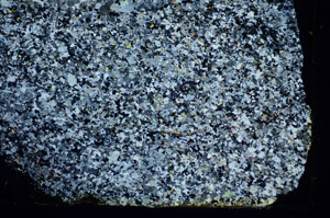 Cross Polarized, S86031