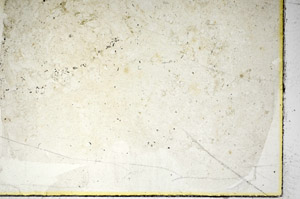 Plane Polarized, S86032