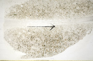 Plane Polarized, S86042