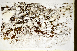 Plane Polarized, S86043