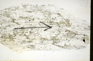 Plane Polarized, S86059