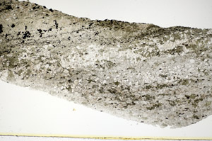 Plane Polarized, S86085