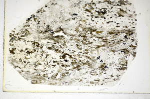 Plane Polarized, S86093