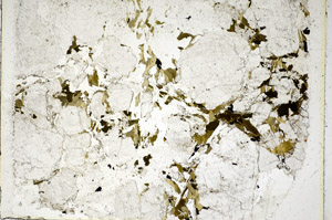 Plane Polarized, S86094