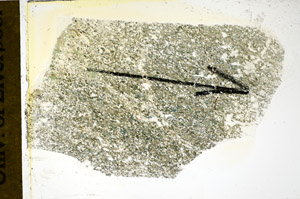 Plane Polarized, S86095