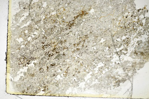 Plane Polarized, S86101