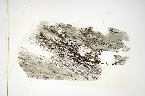 Plane Polarized, S86110
