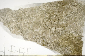 Plane Polarized, S86111