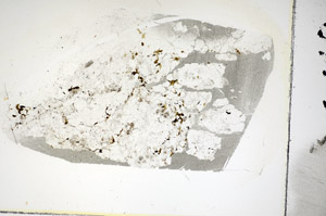 Plane Polarized, S86113