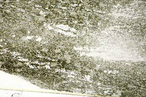 Plane Polarized, S86132