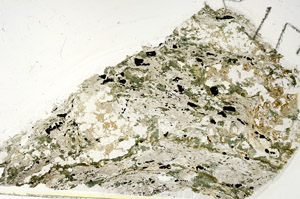Plane Polarized, S86133