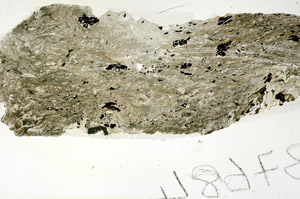 Plane Polarized, S86185