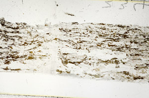 Plane Polarized, S86187