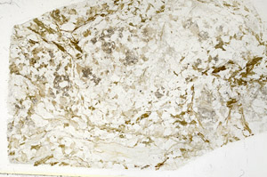 Plane Polarized, S86191