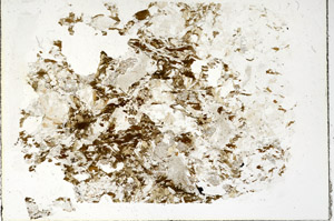Plane Polarized, S86204