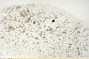 Plane Polarized, S86206