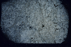 Cross Polarized, S86207