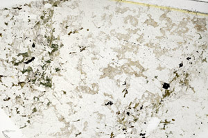Plane Polarized, S86217