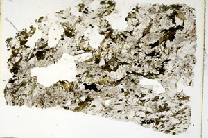 Plane Polarized, S86222
