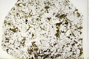 Plane Polarized, S86223