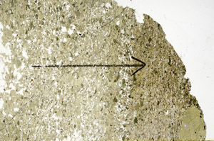Plane Polarized, S86228
