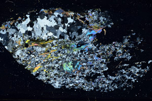 Cross Polarized, S86235