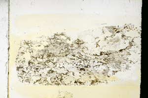 Plane Polarized, S86236