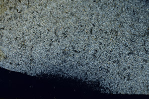 Cross Polarized, S86237
