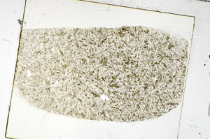 Plane Polarized, S86238