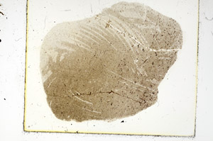 Plane Polarized, S86240