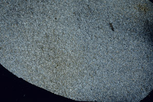 Cross Polarized, S86242