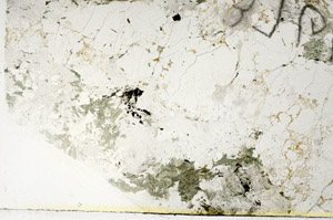 Plane Polarized, S86250