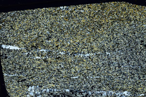 Cross Polarized, S86254