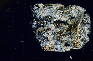 Cross Polarized, S86265