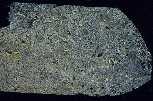Cross Polarized, S86275