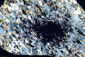 Cross Polarized, S86278
