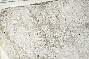 Plane Polarized, S86280