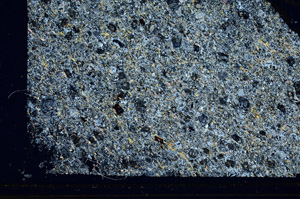 Cross Polarized, S86288