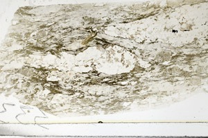 Plane Polarized, S86291