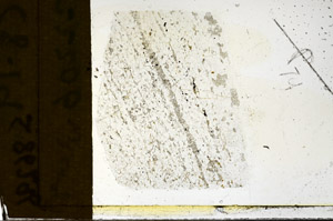 Plane Polarized, S86296