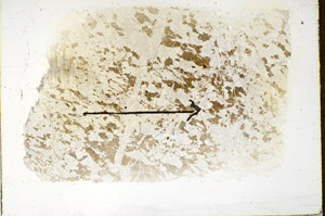 Plane Polarized, S86299
