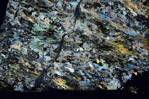 Cross Polarized, S86302