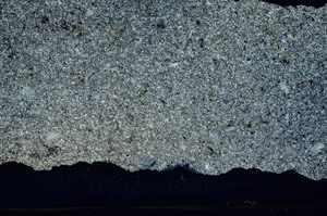 Cross Polarized, S86315
