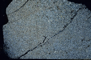 Cross Polarized, S86332