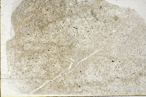 Plane Polarized, S86332