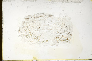 Plane Polarized, S86335