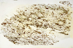 Plane Polarized, S86343